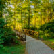 Bridge in Mammoth Park