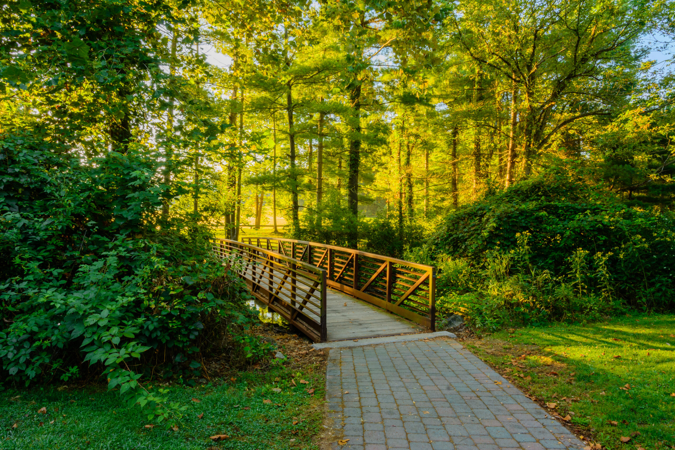 Bridge in Mammoth Park